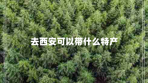 去西安可以帶什么特產(chǎn)