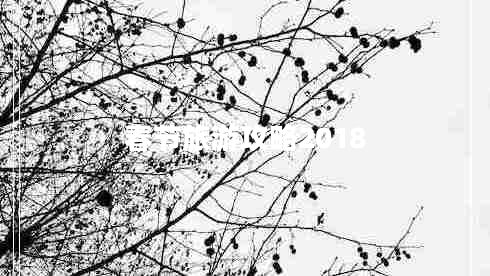 春節旅游攻略2018
