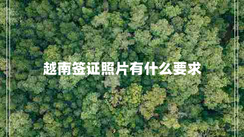 越南簽證照片有什么要求