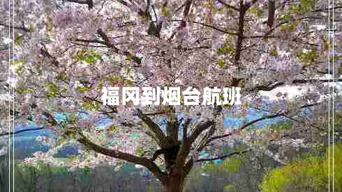 福岡到煙臺航班