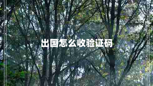 出國怎么收驗證碼