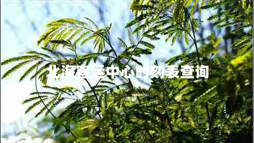 北海客運中心時(shí)刻表查詢(xún)