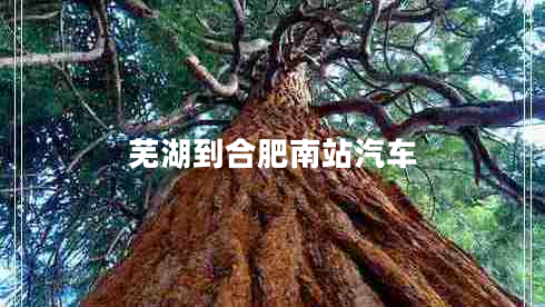 蕪湖到合肥南站汽車(chē)