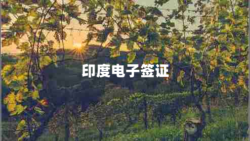 印度電子簽證