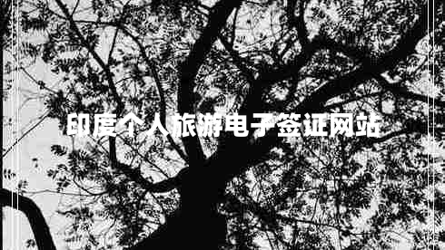 印度個(gè)人旅游電子簽證網(wǎng)站
