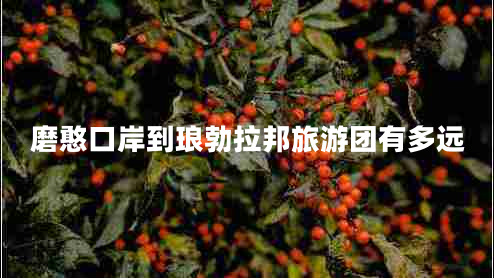 磨憨口岸到瑯勃拉邦旅游團有多遠