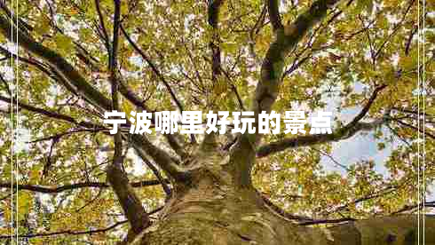 寧波哪里好玩的景點(diǎn)