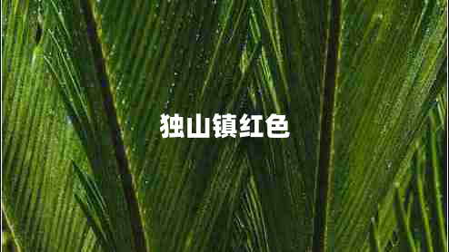 獨山鎮紅色