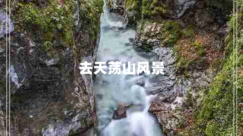 去天蕩山風(fēng)景