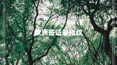 歐洲簽證錄指紋
