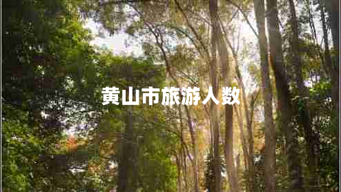 黃山市旅游人數
