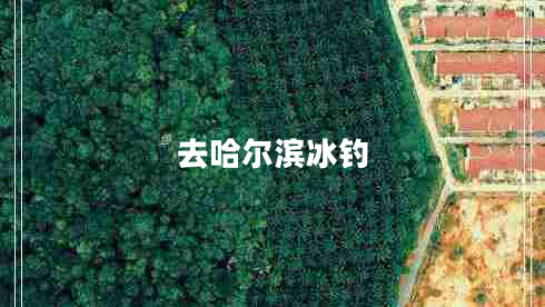 去哈爾濱冰釣