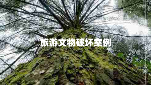 旅游文物破壞案例