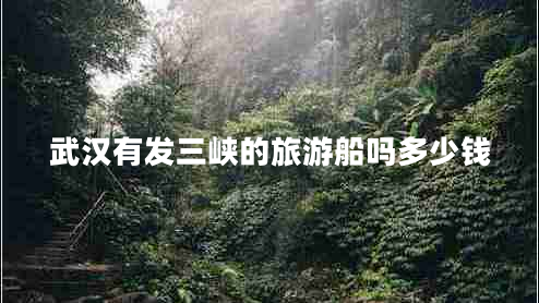 武漢有發(fā)三峽的旅游船嗎多少錢(qián)