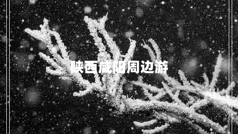 陜西咸陽(yáng)周邊游