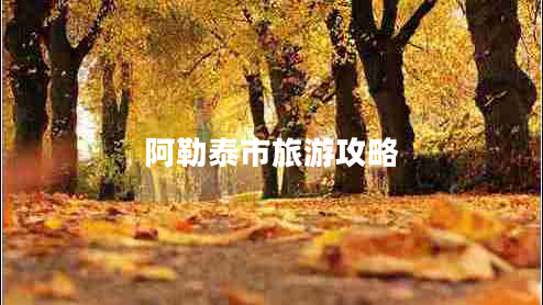 阿勒泰市旅游攻略