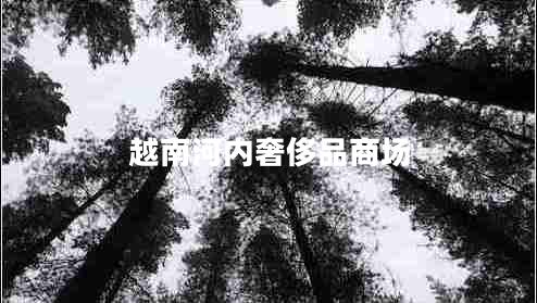 越南河內奢侈品商場(chǎng)