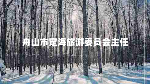 舟山市定海旅游委員會(huì )主任