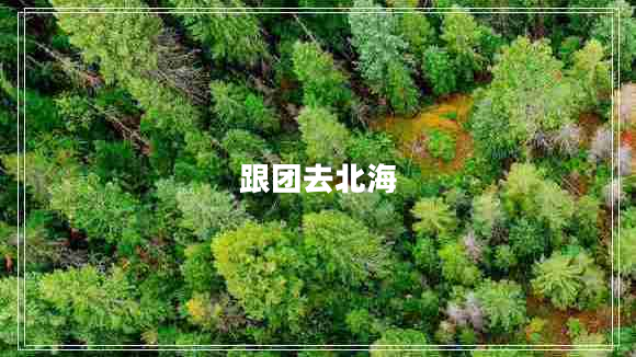 跟團去北海