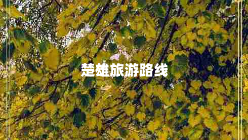 楚雄旅游路線(xiàn)