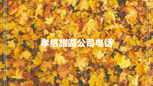 孝感旅游公司電話(huà)