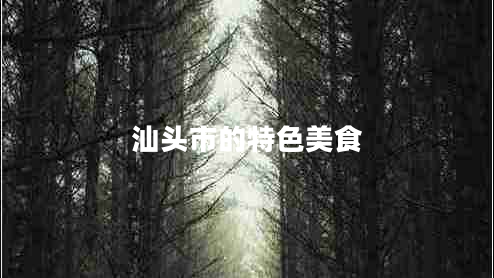 汕頭市的特色美食