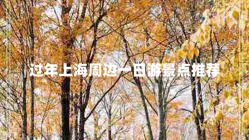 過(guò)年上海周邊一日游景點(diǎn)推薦