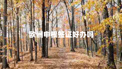 歐洲申根簽證好辦嗎