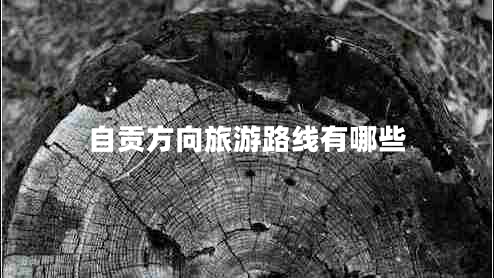 自貢方向旅游路線(xiàn)有哪些