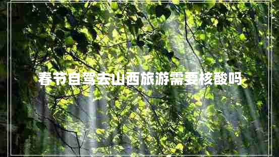 春節自駕去山西旅游需要核酸嗎