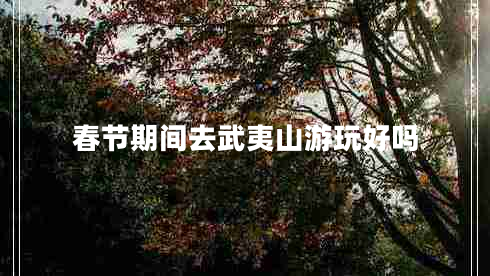 春節期間去武夷山游玩好嗎