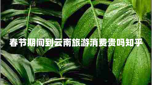 春節期間到云南旅游消費貴嗎知乎