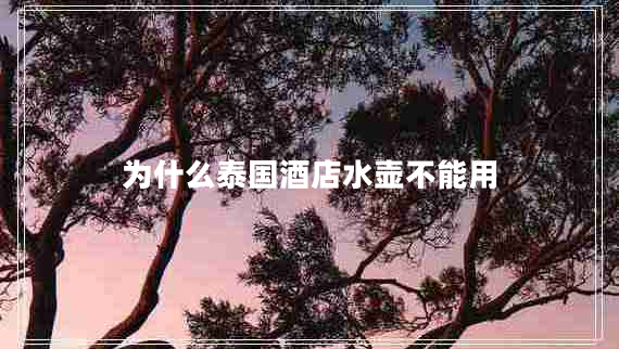 為什么泰國酒店水壺不能用