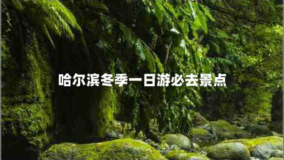 哈爾濱冬季一日游必去景點(diǎn)