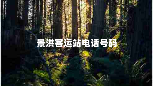 景洪客運站電話(huà)號碼
