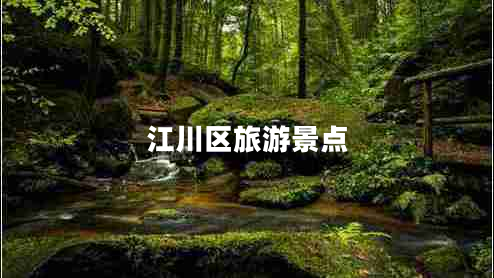 江川區旅游景點(diǎn)