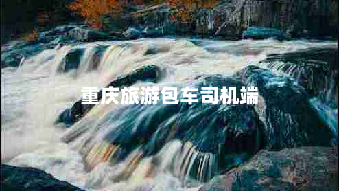 重慶旅游包車(chē)司機端