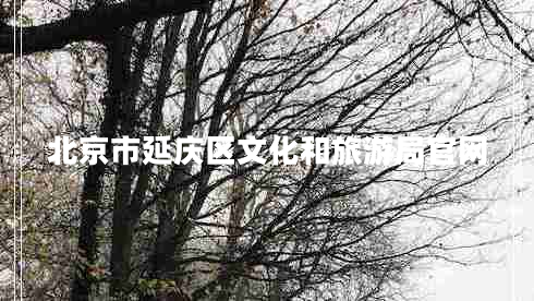 北京市延慶區文化和旅游局官網(wǎng)