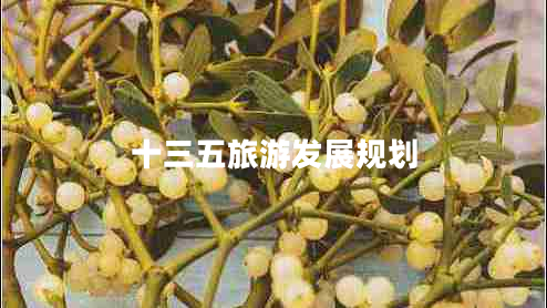 十三五旅游發(fā)展規劃