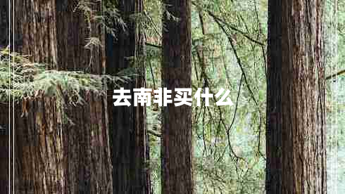 去南非買(mǎi)什么