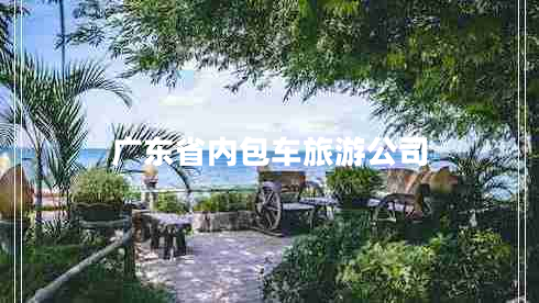 廣東省內包車(chē)旅游公司