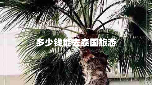 多少錢(qián)能去泰國旅游