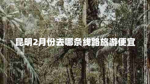 昆明2月份去哪條線(xiàn)路旅游便宜