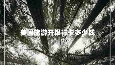 美國旅游開(kāi)銀行卡多少錢(qián)