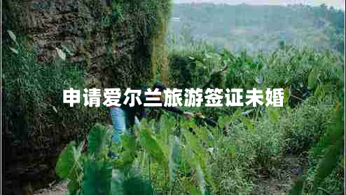 申請愛(ài)爾蘭旅游簽證未婚