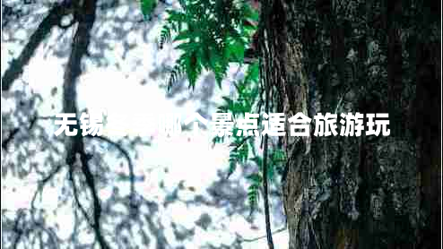 無(wú)錫冬季哪個(gè)景點(diǎn)適合旅游玩