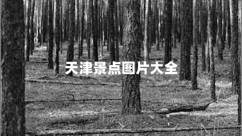 天津景點(diǎn)圖片大全