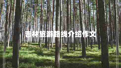 吉林旅游路線(xiàn)介紹作文