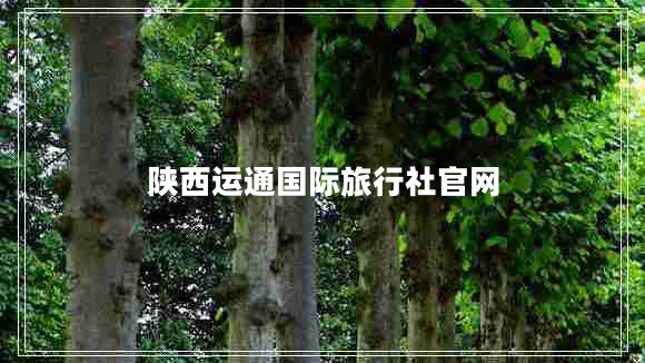 陜西運通國際旅行社官網(wǎng)