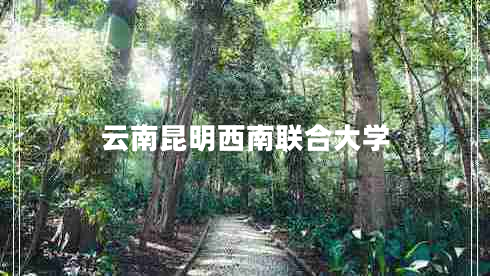 云南昆明西南聯(lián)合大學(xué)
